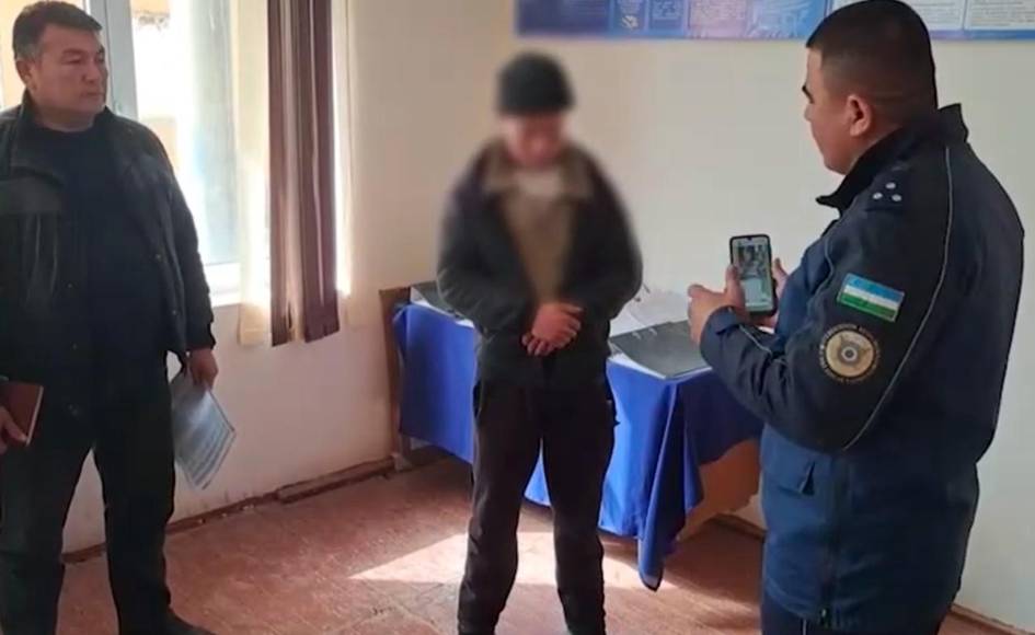 Surxondaryoda it bolasining quloqlarini uzib tashlagan yigitga chora ko‘rildi